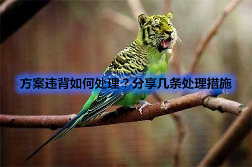 方案違背如何處理？分享幾條處理措施(圖1)