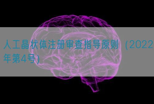 人工晶狀體注冊審查指導(dǎo)原則（2022年第4號）(圖1)