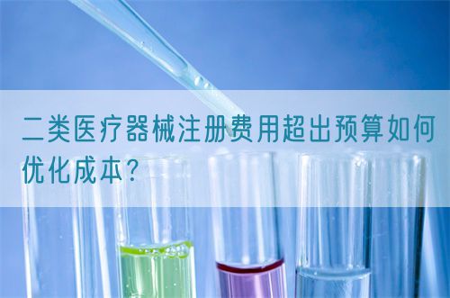 二類醫(yī)療器械注冊費(fèi)用超出預(yù)算如何優(yōu)化成本？(圖1)