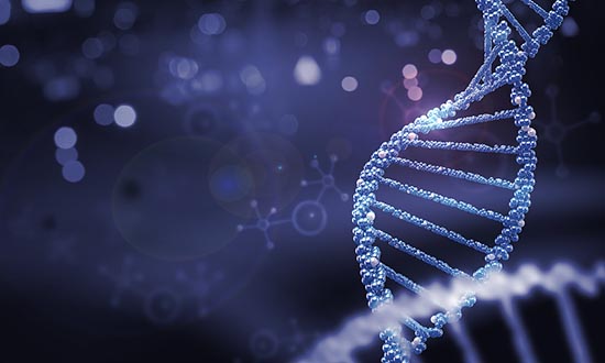 什么是Ⅰ期臨床研究？一文搞懂Ⅰ期臨床試驗(yàn)全過程(圖3)